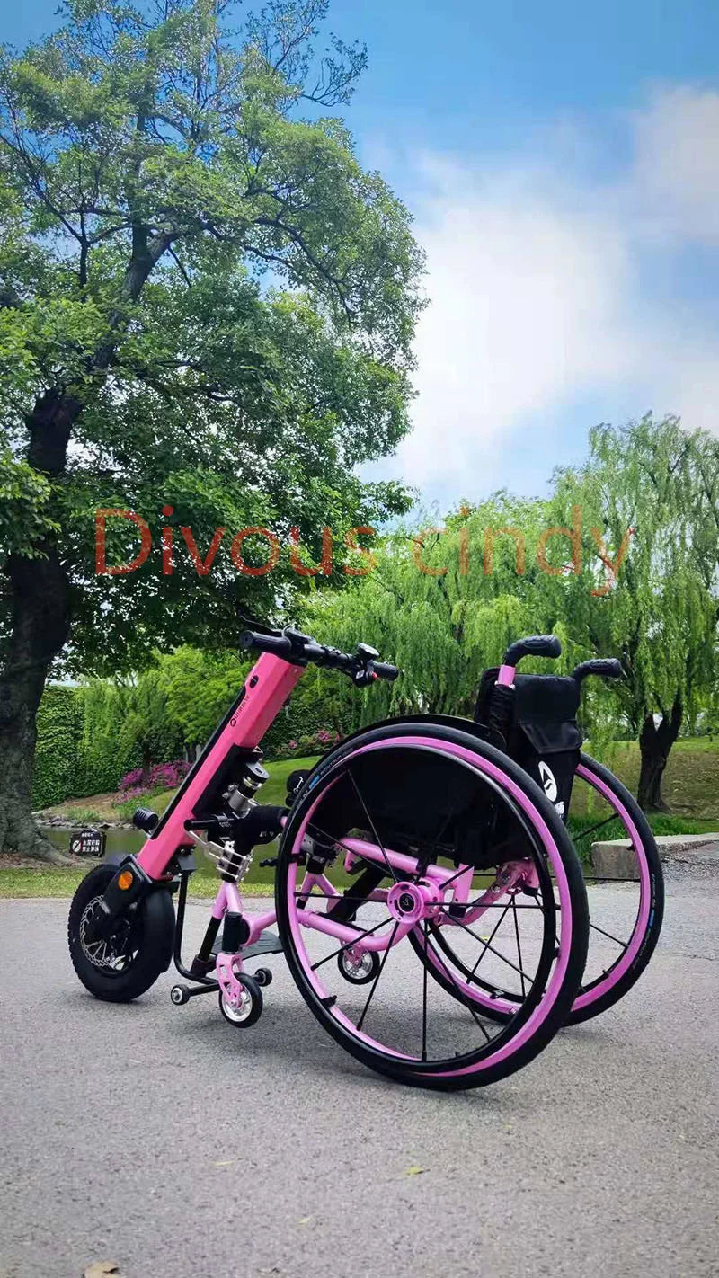 Sport Manual wheelchair  Electric Handbike