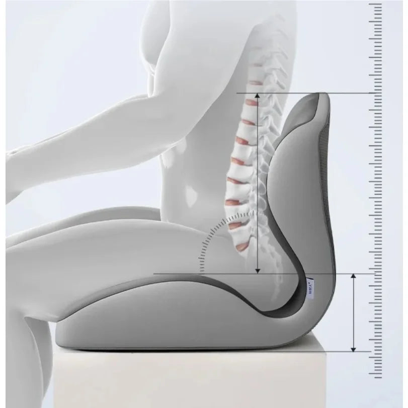 Lumbar Support Memory Foam Cushion for Ergonomic Posture and Pressure Relief - Mobility Buy