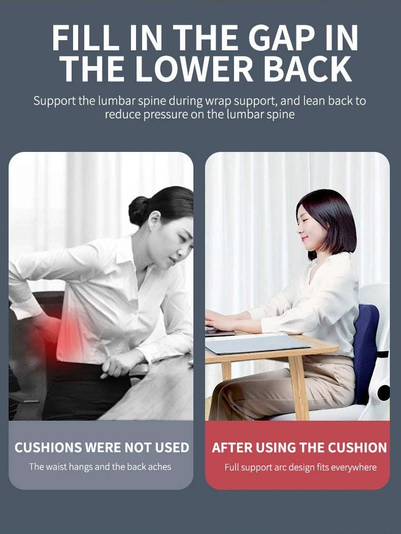 Orthopaedic Seat and Back Cushion Set- Lumbar Support - Mobility Buy