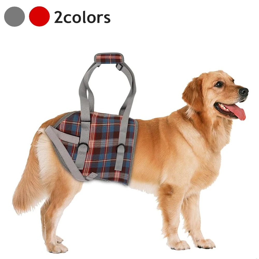 Premium Adjustable Dog Support Harness For Senior Pet Leg Recovery - Mobility Buy