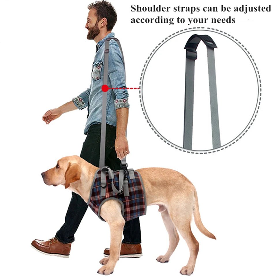 Premium Adjustable Dog Support Harness For Senior Pet Leg Recovery - Mobility Buy