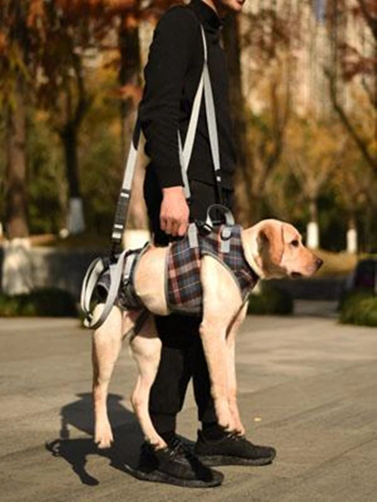 Premium Adjustable Dog Support Harness For Senior Pet Leg Recovery - Mobility Buy