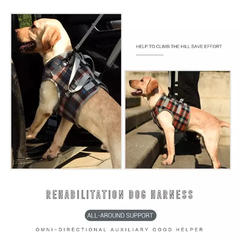 Premium Adjustable Dog Support Harness For Senior Pet Leg Recovery - Mobility Buy