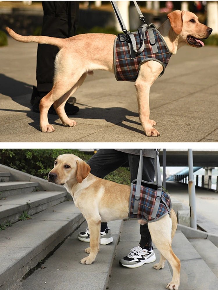 Premium Adjustable Dog Support Harness For Senior Pet Leg Recovery - Mobility Buy