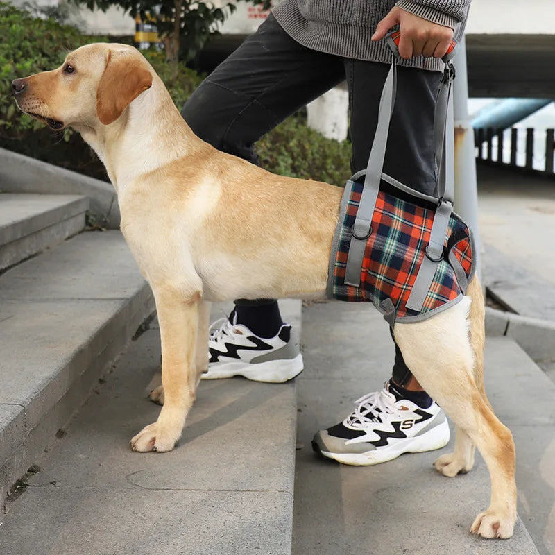 Premium Adjustable Dog Support Harness For Senior Pet Leg Recovery - Mobility Buy